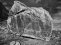 Horse Petroglyphs - Bluff, Utah