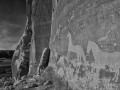 Horse Petroglyphs - Bluff, Utah