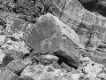 Horse Petroglyphs - Bluff, Utah