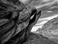 Sand Trout - Comb Ridge - Utah