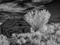 McElmo Creek Canyon Homestead Ruins - Utah