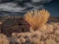 McElmo Creek Canyon Homestead Ruins - Utah