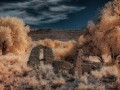 McElmo Creek Canyon Homestead Ruins - Utah