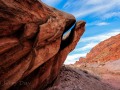 Sand Trout - Comb Ridge - Utah