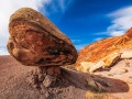 Tortoise-head Rock - Comb Ridge - Utah
