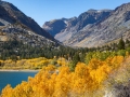 Lundy Lake Aspen