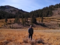 Jerry walking the pups in the Sonora Pass