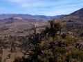 Desert vista from the Sonora Pass