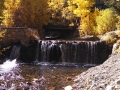 Virginia Lake Stream