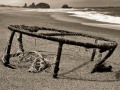 (2016) Beached Crab Trap - Near Pistol River