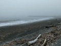 Brookings - Foggy Beach