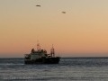 Brookings - Dredge at Work