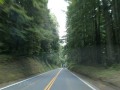 CA-197 - Heading for Grants Pass