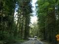 CA-197 - Heading for Grants Pass