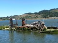 Gold Beach - Wreck of the Mary D. Hume - Decaying Fast