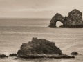 (2016)  Mack  Arch - Near Pistol River