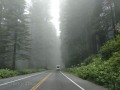 US-101 - Heading for Brookings, Oregon