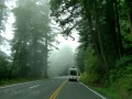 US-101 - Heading for Brookings, Oregon
