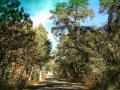 Scenic drive through Chiricahua National Monument