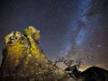 A Giant's Bonsai - Chiricahua National Monument