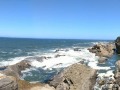 Cape Arago - rugged coast vista