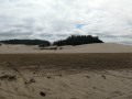 Umpqua Coastal Dunes - OHV area