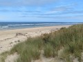 Umpqua Coastal Dunes