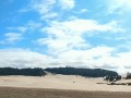 Umpqua Coastal Dunes - OHV area