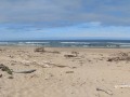 Umpqua Coastal Dunes