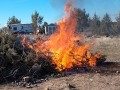 Burning a Debris Pile