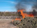 Burning a Debris Pile