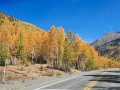 San Juan Mountains Fall Color