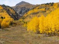 San Juan Mountains Fall Color