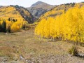 San Juan Mountains Fall Color