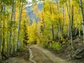 San Juan Mountains Fall Color