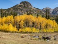 San Juan Mountains Fall Color