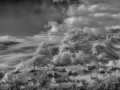 Great Sand Dunes NP - Dunes Vista - b/w