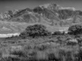 Great Sand Dunes NP - Great Sand Dunes - b/w
