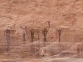 Buckhorn Wash Pictograph Panel - San Rafael Swell