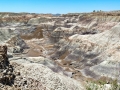 Blue Mesa Badlands at Petrified Forest National Park