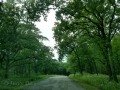 Lake Ahquabi State Park - Lanes