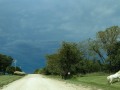 Stormy skies & horses