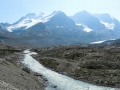 Jasper NP - Mountain Vista