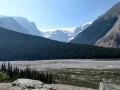 Jasper NP - Mountain Vista