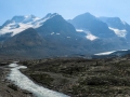 Jasper NP - Mountain Vista