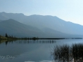 Jasper NP - Talbot Lake
