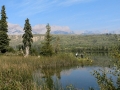 Jasper NP - Talbot Lake