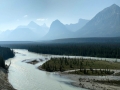 Jasper NP - Athabasca River Vista