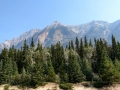 Jasper NP - Mountain Vista