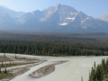 Jasper NP - Athabasca River Vista